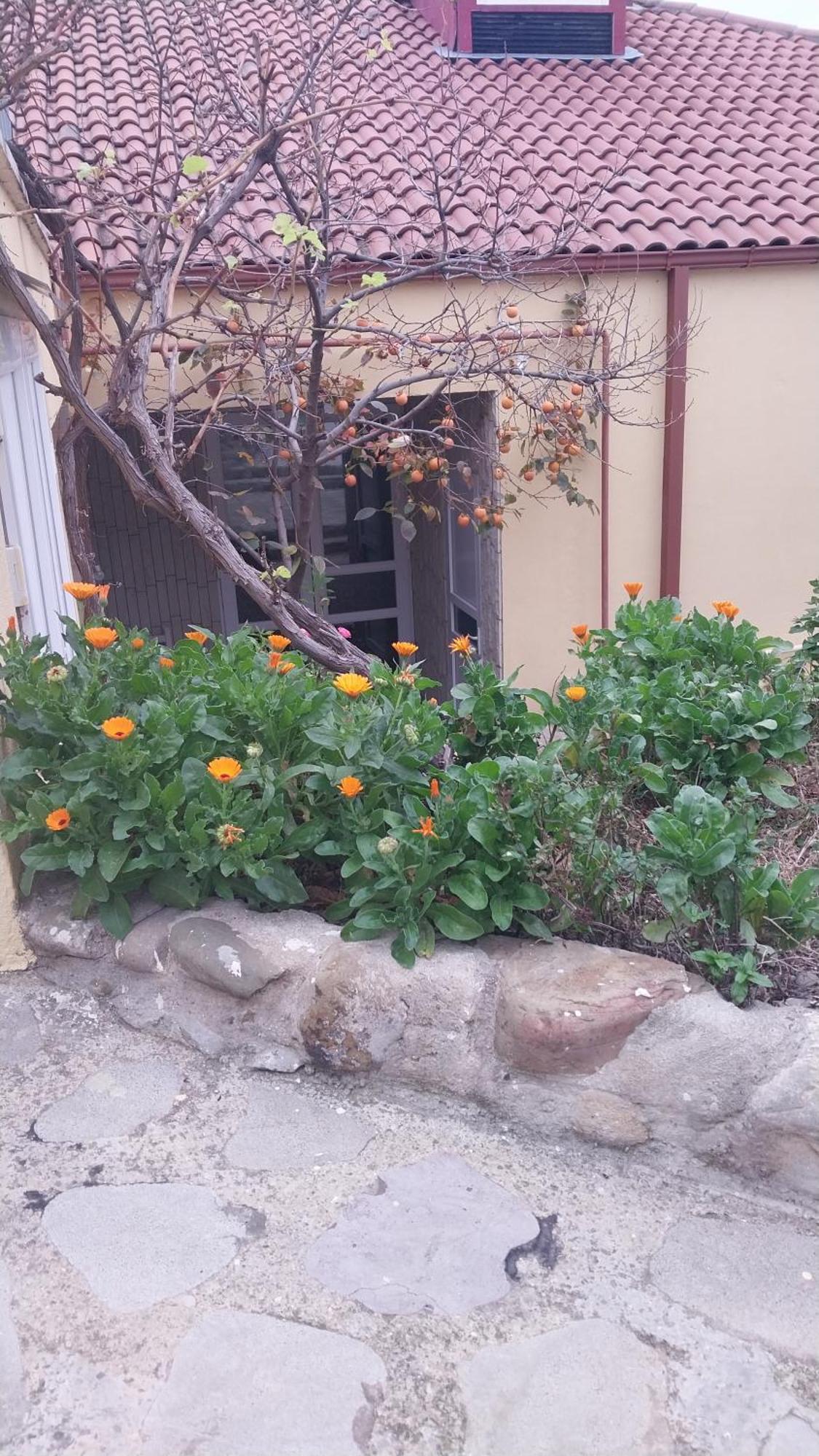 Vigor Hotel Sighnaghi Exterior photo